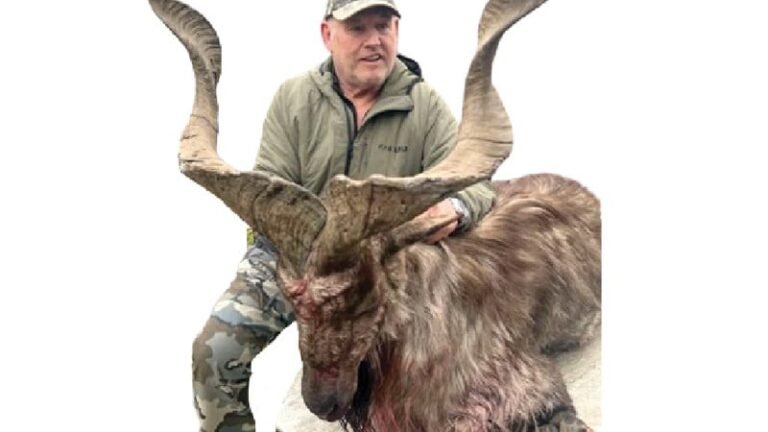 Record Rs75 Million Bid for Markhor Hunt Spotlights Pakistan’s Conservation Efforts