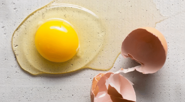 Eat More Eggs, Live Longer? Scientists Say Yes—In Moderation