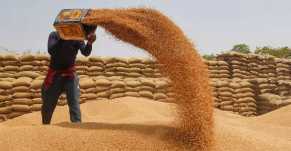 Centre Set to Exit Wheat Procurement Under IMF Pressure