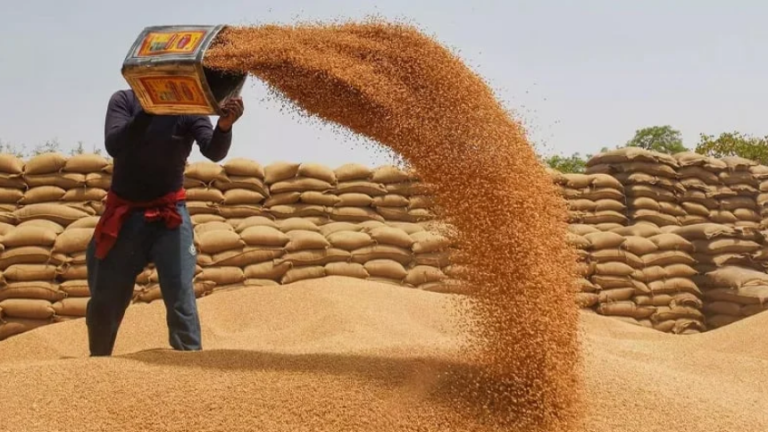 Centre Set to Exit Wheat Procurement Under IMF Pressure