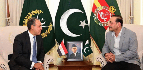 Pakistan, Egypt Strengthen Defence and Strategic Cooperation During High-Level Meetings