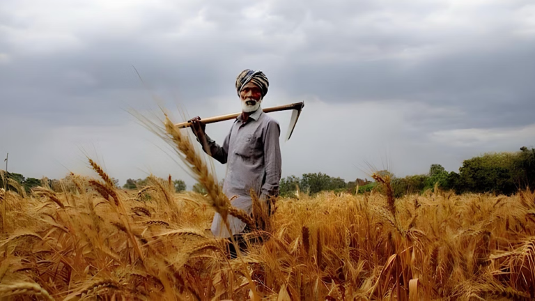 Punjab Launches Free Land Scheme for Farmers Under “Apna Khet, Apna Rozgar” Initiative
