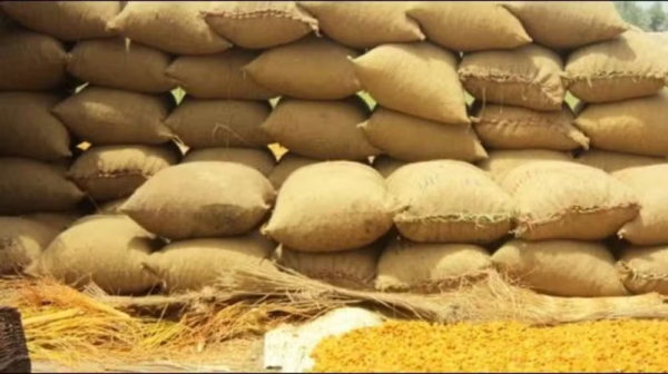 Sindh Wheat Scandal Deepens as Thousands of Sacks Vanish from Jamshoro Warehouse