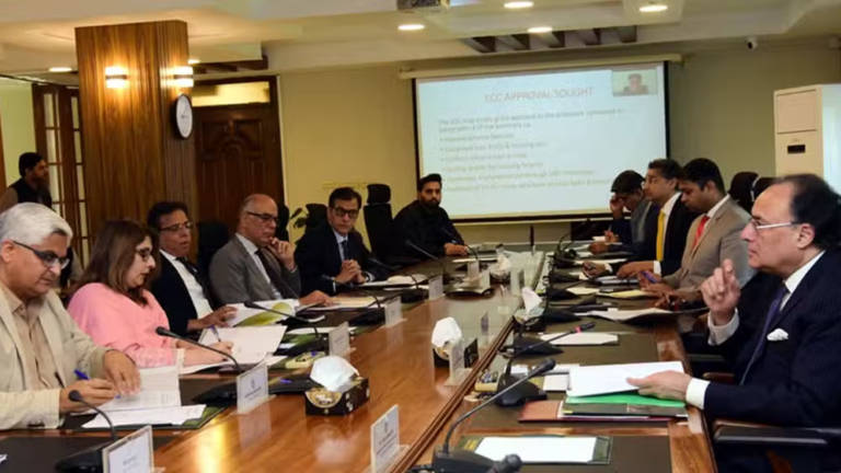 ECC Approves Low-Cost Housing Scheme With Rs. 10 Million Loan Limit