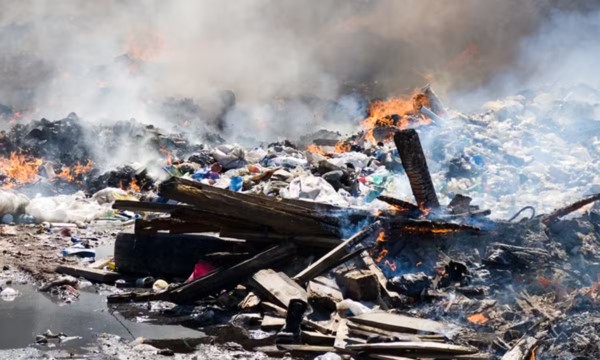 Lahore High Court Orders Crackdown on Illegal Waste Dumping Across Punjab