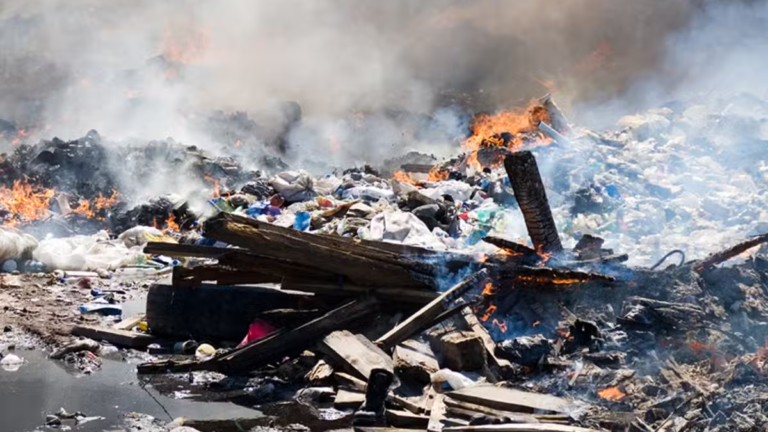 Lahore High Court Orders Crackdown on Illegal Waste Dumping Across Punjab