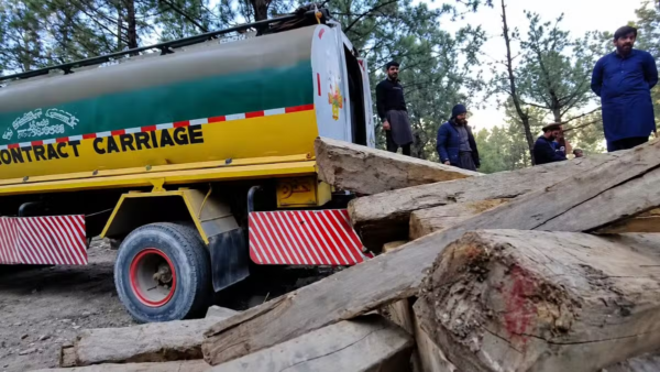 Senate Panel Suspends Timber Transport Licenses in Gilgit-Baltistan Pending Forest Verification